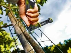 Rapid Fp222 Hekwerktang / Ringtang T&f -Goedkope Wolfswinkel winkel 23468100 3 RAPID20FR22220HEKWERKTANG2020RINGTANG20TF