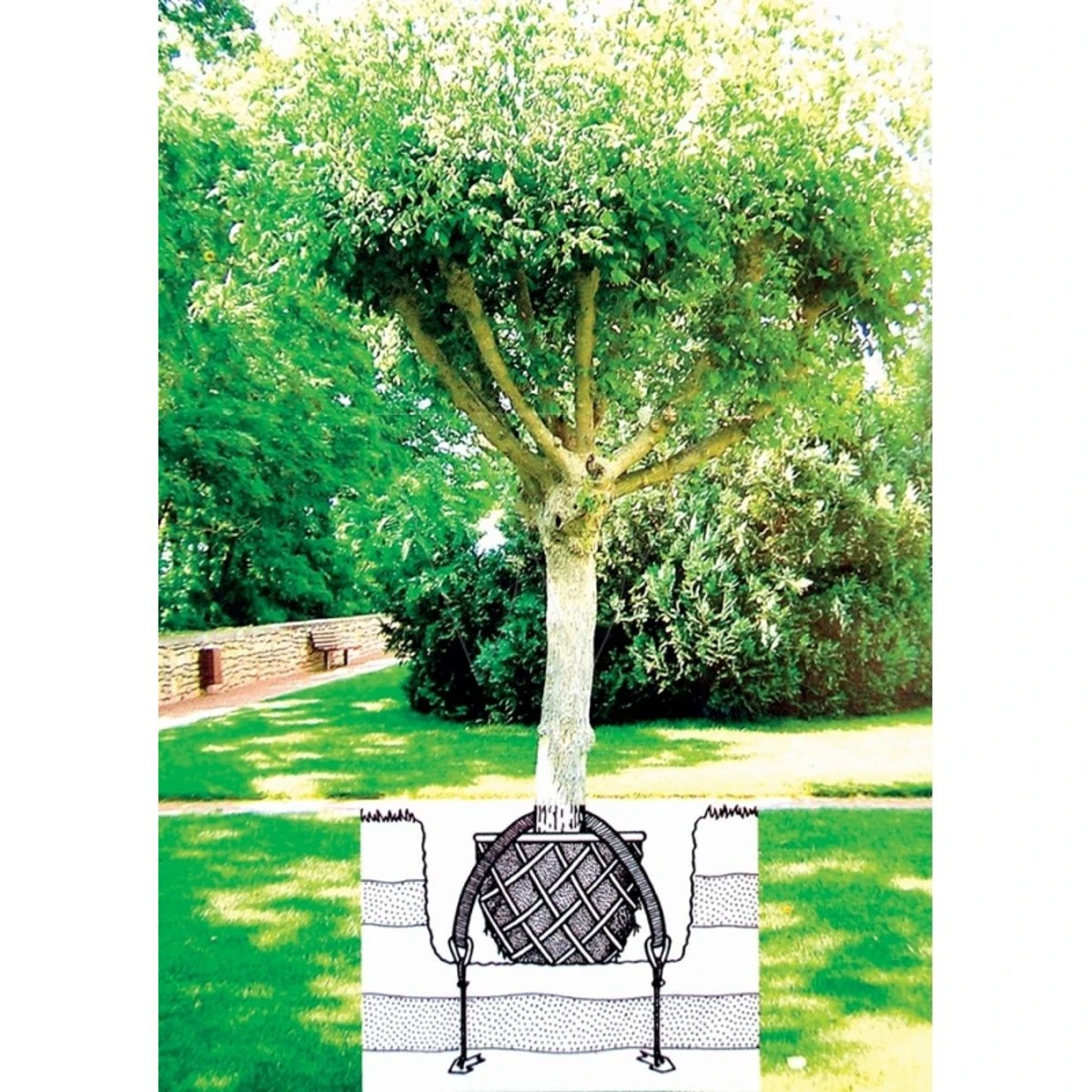 Toltex Kam4 Ondergrondsekluitverankering 5 Toltex Kam4 Ondergrondsekluitverankering - Afbeelding 3