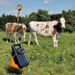 Gallagher S20 Incl.batterij En Stander S