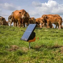 Gallagher S200 (12v - 2,0 J) Incl 2 Bat. -Goedkope Wolfswinkel winkel 360300 6 GALLAGHER