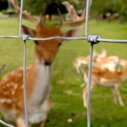 Arcelor Gaas Praire Zwaar H100x7x15 50m. -Goedkope Wolfswinkel winkel 5 ARCELOR20GAAS20PRAIRE20ZWAAR205020METER20ROL