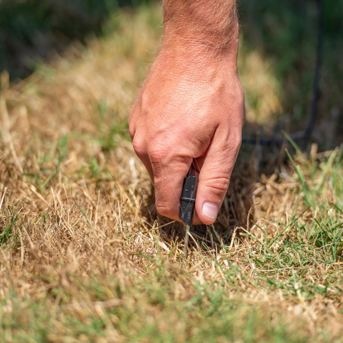 Gallagher Neon Afrasteringstester 10 Gallagher Neon Afrasteringstester - Afbeelding 8