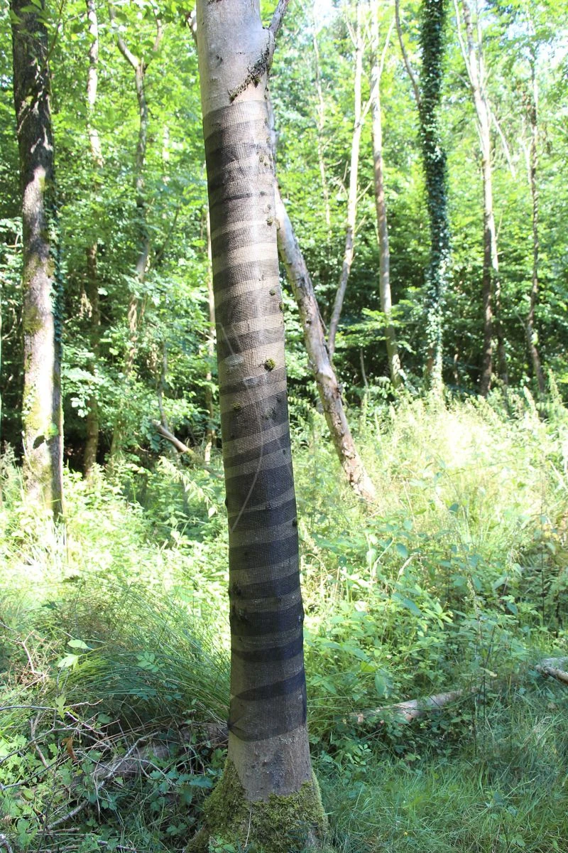 Poly-net 100m X 15cm Boombeschermer 4 Poly-net 100m X 15cm Boombeschermer - Afbeelding 2