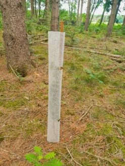 Buck Bio Groeibescherming 120cm 10ø -Goedkope Wolfswinkel winkel 73346 4 BUCK20BIO20GROEIBESCHERMING20150CM2010C398