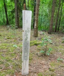 Buck Bio Groeibescherming 120cm 10ø -Goedkope Wolfswinkel winkel 73346 5 BUCK20BIO20GROEIBESCHERMING20150CM2010C398