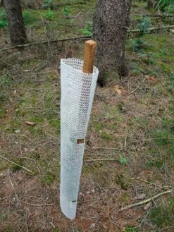 Buck Bio Groeibescherming 120cm 10ø -Goedkope Wolfswinkel winkel 73346 6 BUCK20BIO20GROEIBESCHERMING20150CM2010C398