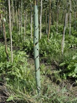 Plantagard Boombeschermers 60cm (100x)