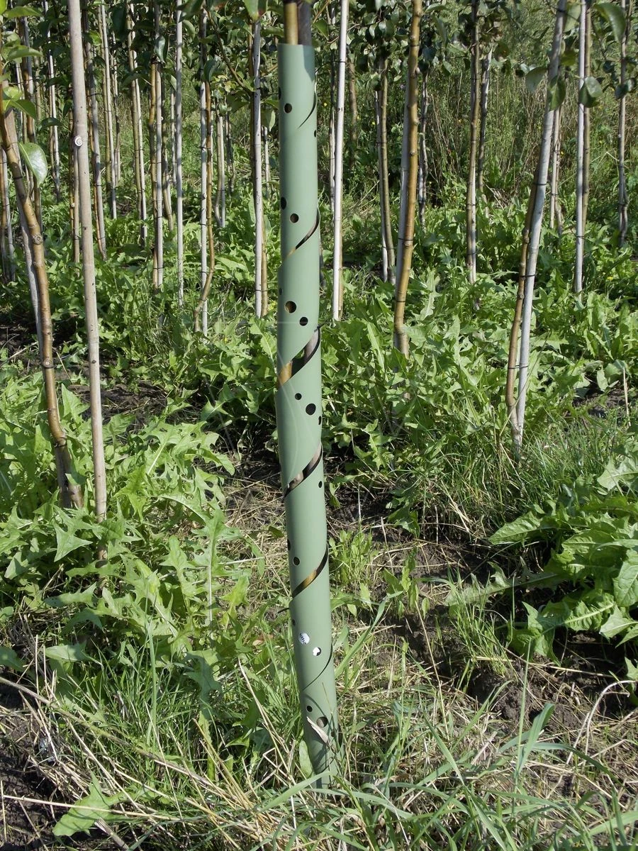 Plantagard Boombeschermers 60cm (100x) 3 Plantagard Boombeschermers 60cm (100x)