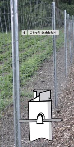 Z-profil Paal Van Staal 2500 Mm