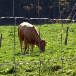 Arcelor Gaas Praire Licht H60x6x15 50m. -Goedkope Wolfswinkel winkel FSL606 8 PRAIRIE20LICHT20GAAS20GEKNOOPT20600MM20X205020METER