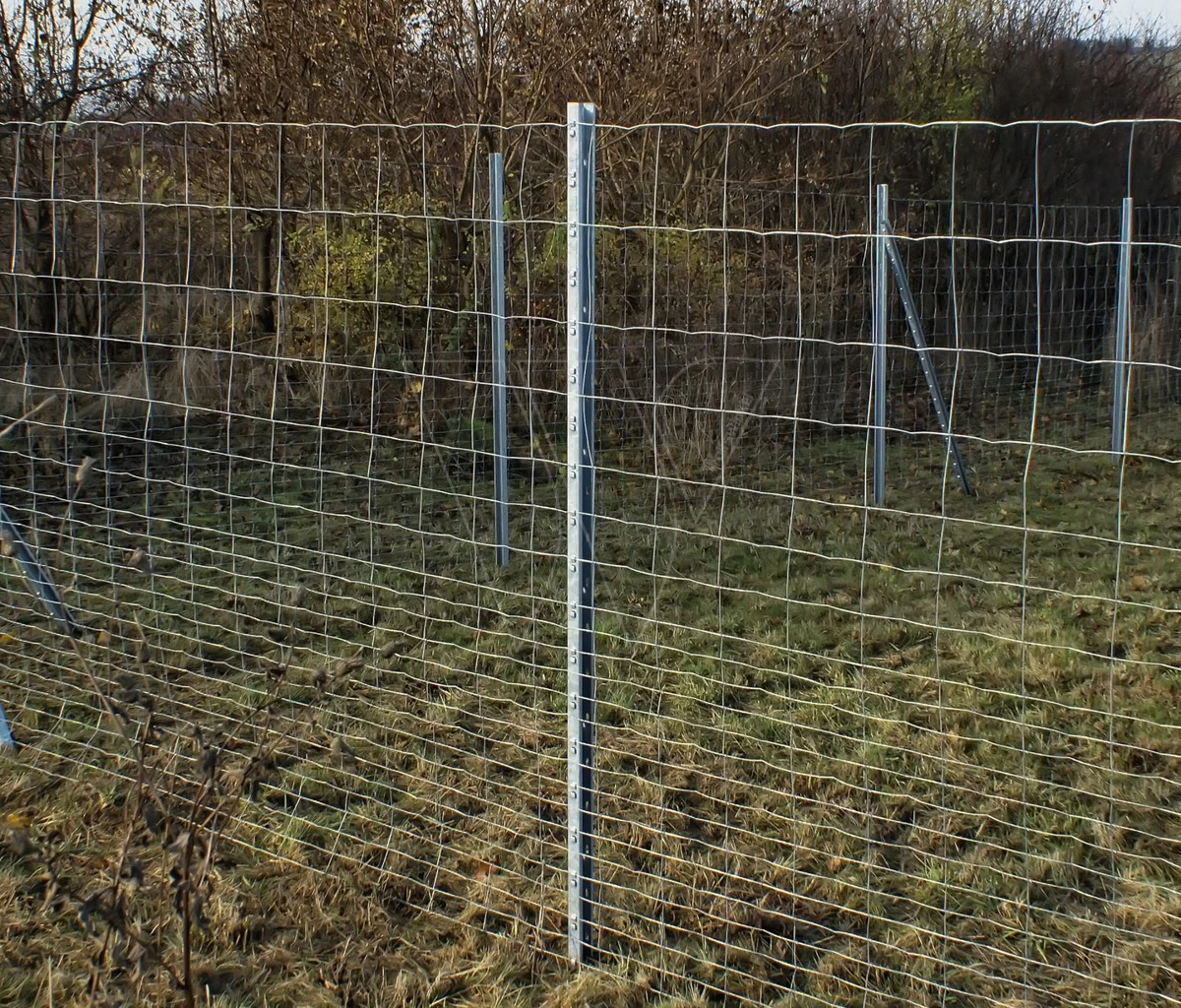 Nordforest Cw40 Wild Raster Paal 230 Cm 3 Nordforest Cw40 Wild Raster Paal 230 Cm