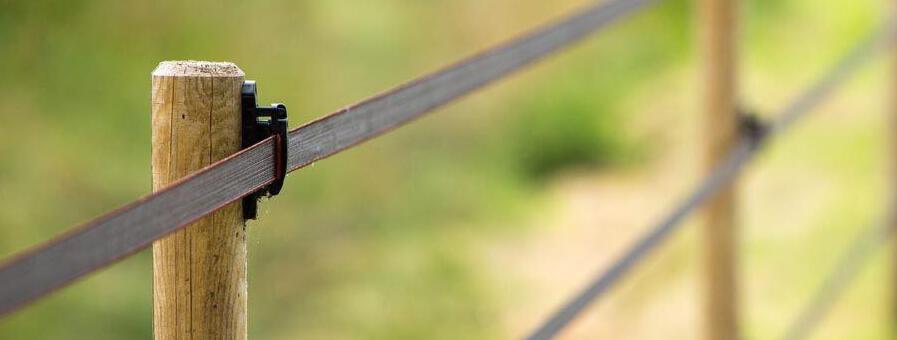 Goedkope Wolfswinkel winkel -Goedkope Wolfswinkel winkel 6450 lint paal hout original 20210605160016 crop 20210605160027