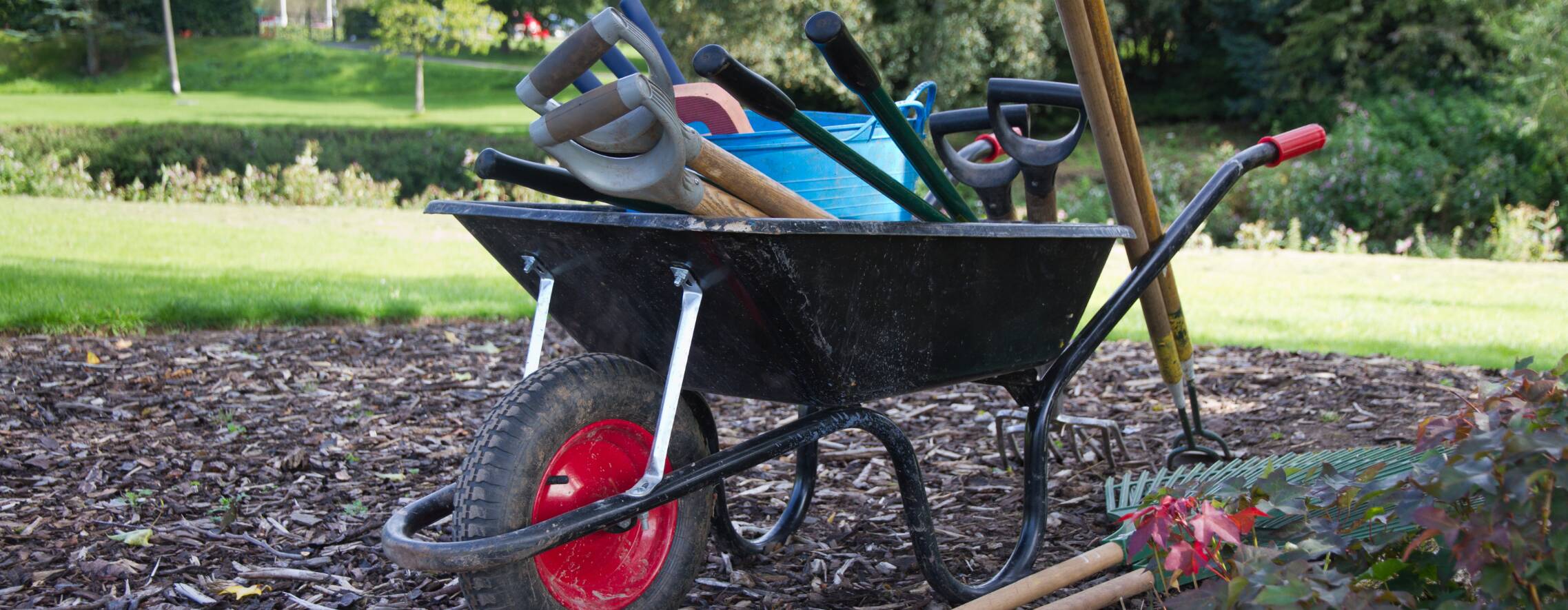 Goedkope Wolfswinkel winkel -Goedkope Wolfswinkel winkel aqp0e ny3fz